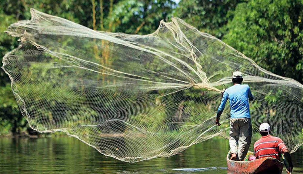 Potenciar la pesca en Colombia  Productos para Acuicultura Hanna  Instruments