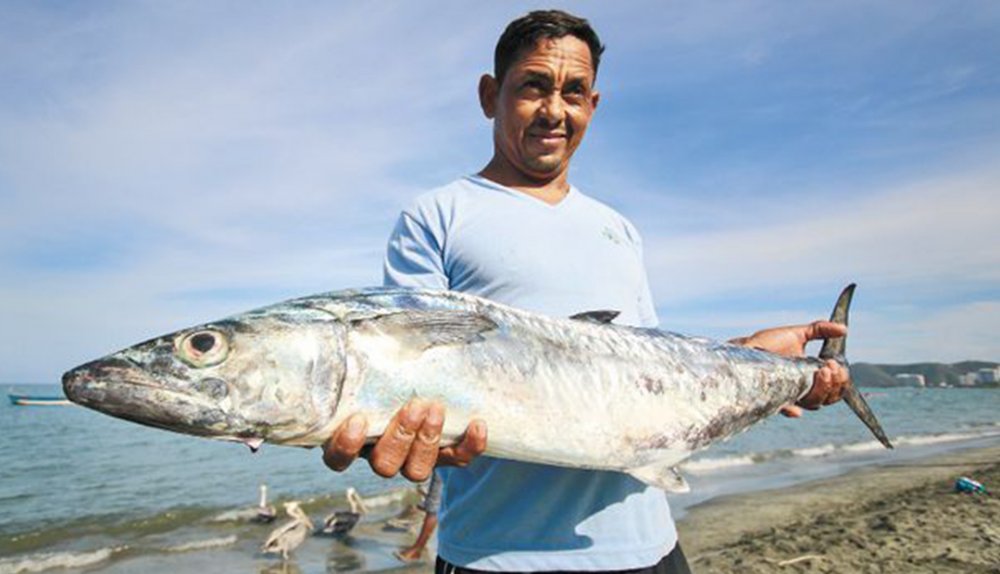 La pesca ancestral en el Caribe colombiano que le apuesta al cuidado del mar