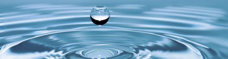 ¿Qué es solvente?